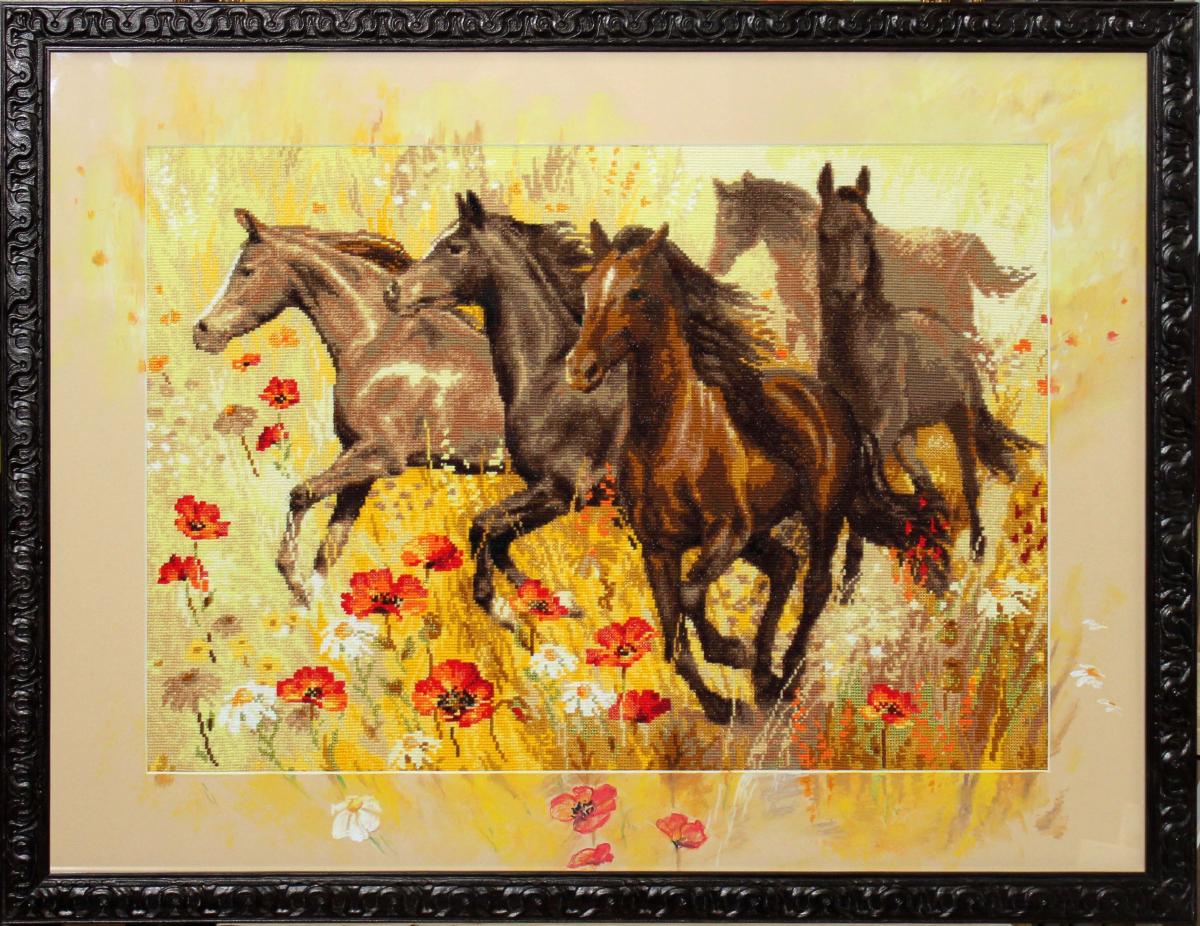 Картины на авито. Вышивка крестом табун лошадей Риолис. Вышивка крестом табун лошадей. Картина для вышивки конь. Вышивка табун лошадей на маковом поле.